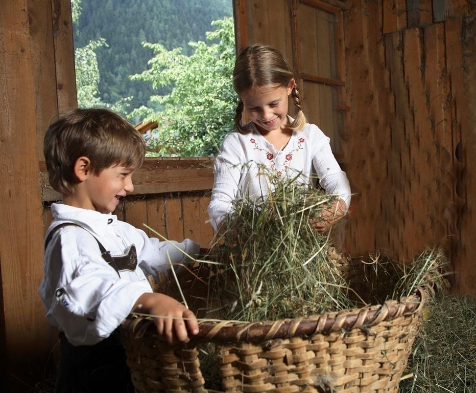 Appartements Michaela Neustift im Stubaital Eksteriør billede
