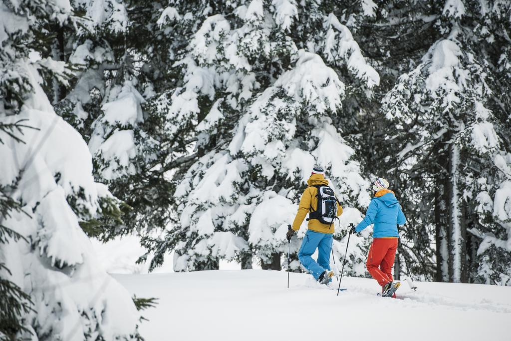Appartements Michaela Neustift im Stubaital Eksteriør billede